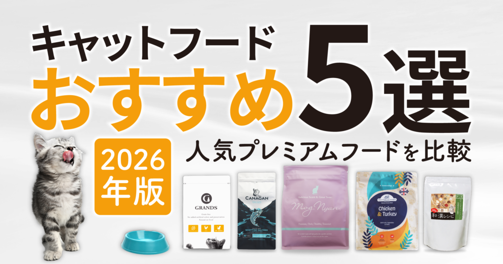 キャットフードおすすめ5選｜人気プレミアムフードを比較